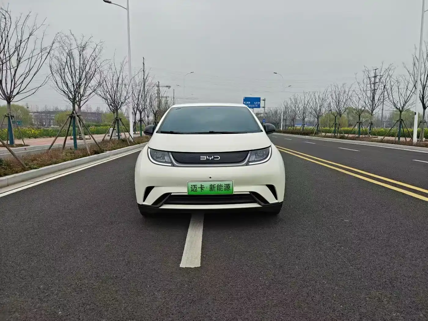 BYD DOLPHIN