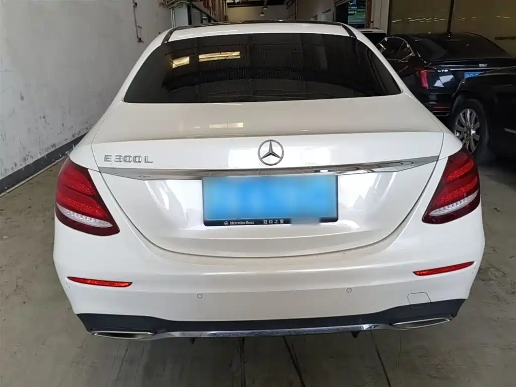 Mercedes-Benz E-Class 2019 E 300 L Sport Luxury фото 6