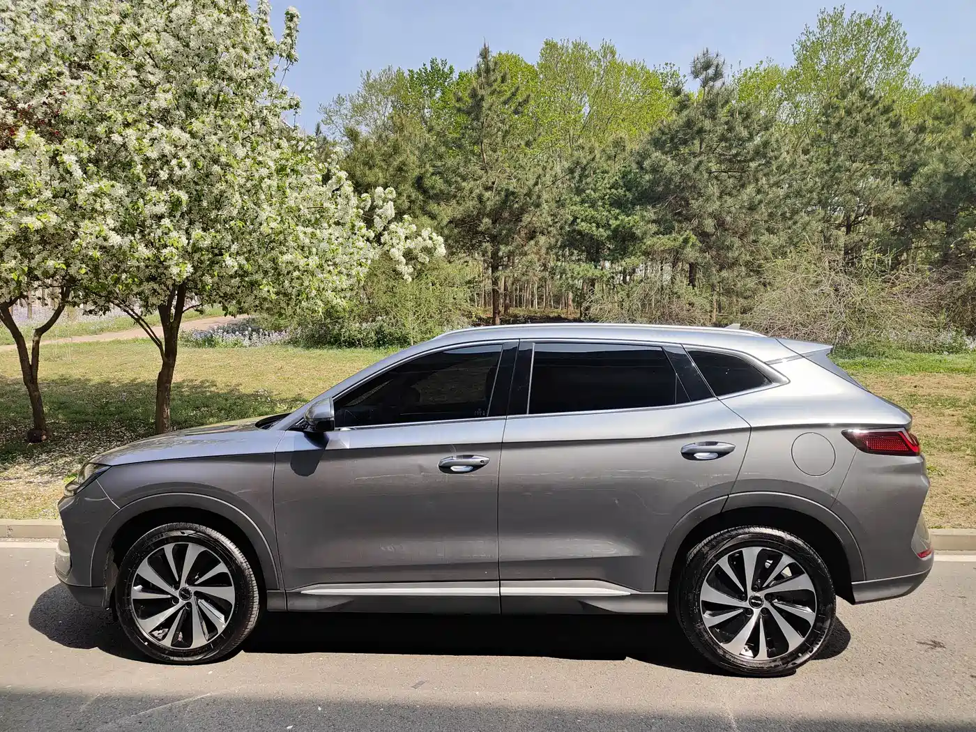 BYD SONGJIANG NEW ENERGY