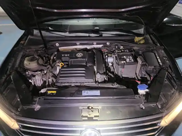 Volkswagen Magotan 2019 280TSI DSG Leading China V — фото 3