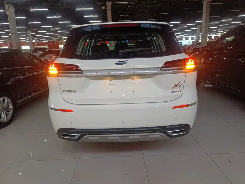 صورة 6 - Changan Oshan X7