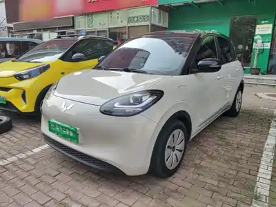 Wuling Bingo