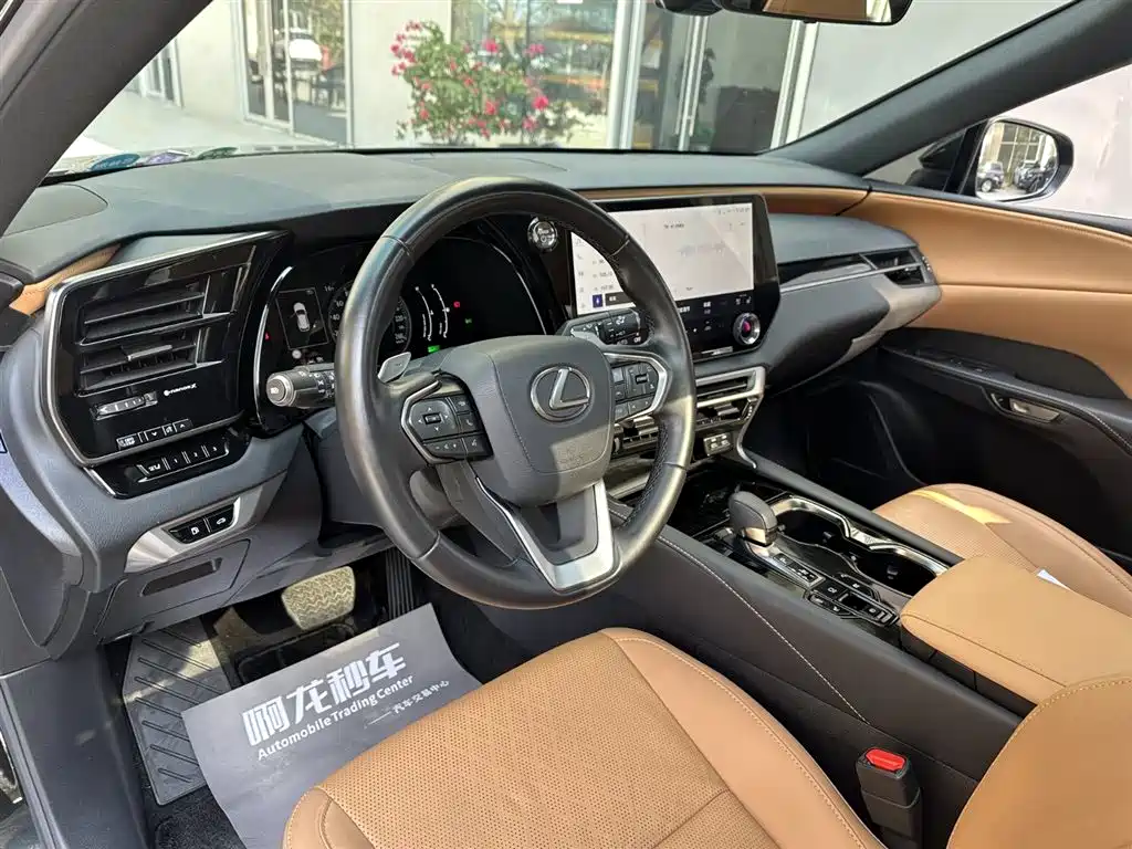 LEXUS RX