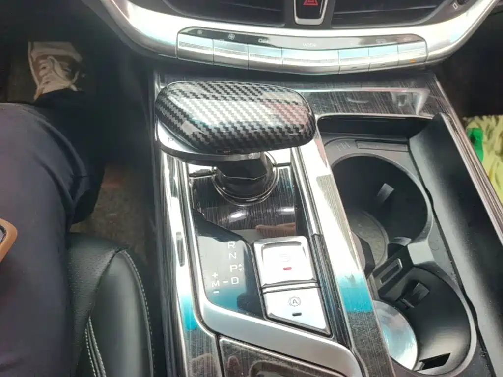 Photo 14 - Geely Borui