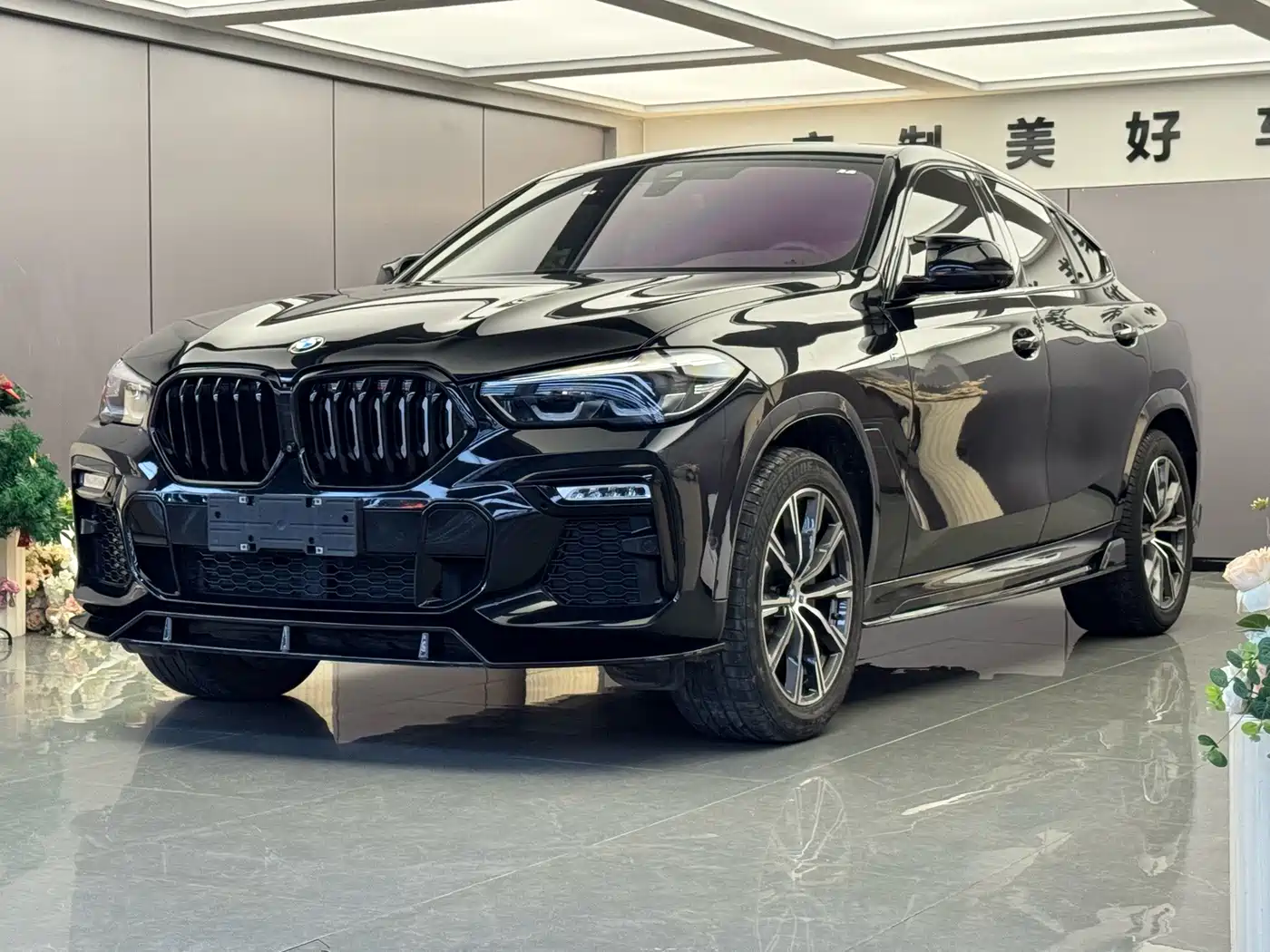 Photo 1 - BMW X6