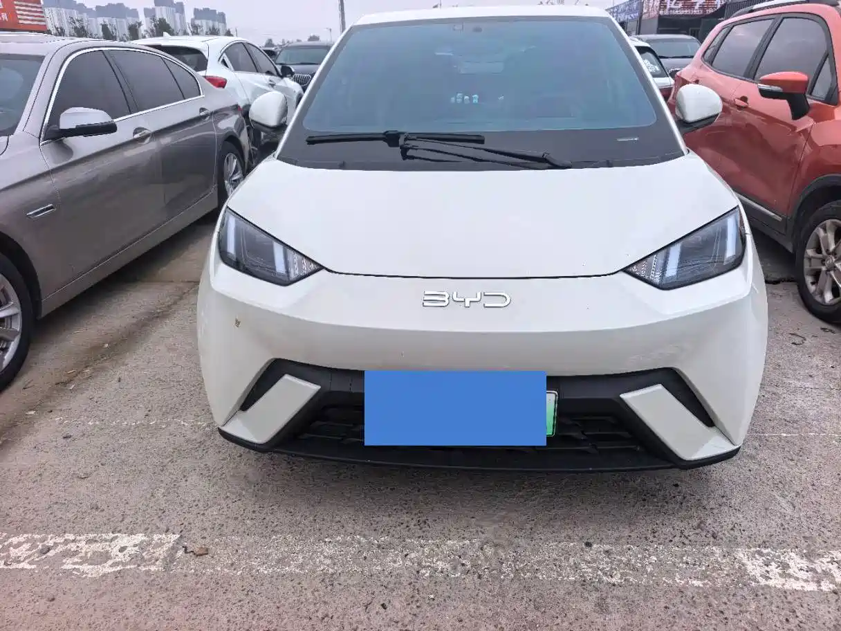 Фото 2 - BYD Seagull