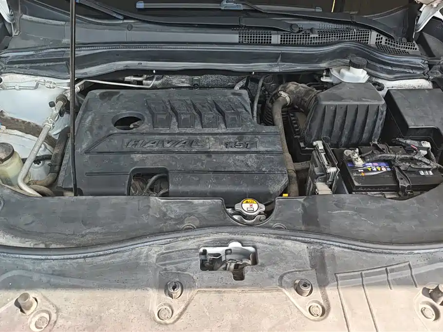 Haval H6 2018 Blue Label Sport 1.5T Automatic 2WD Elite фото 10