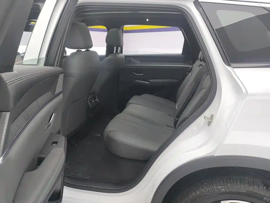 BYD Song Pro New Energy 2026 2026 DM-i Long Range Edition