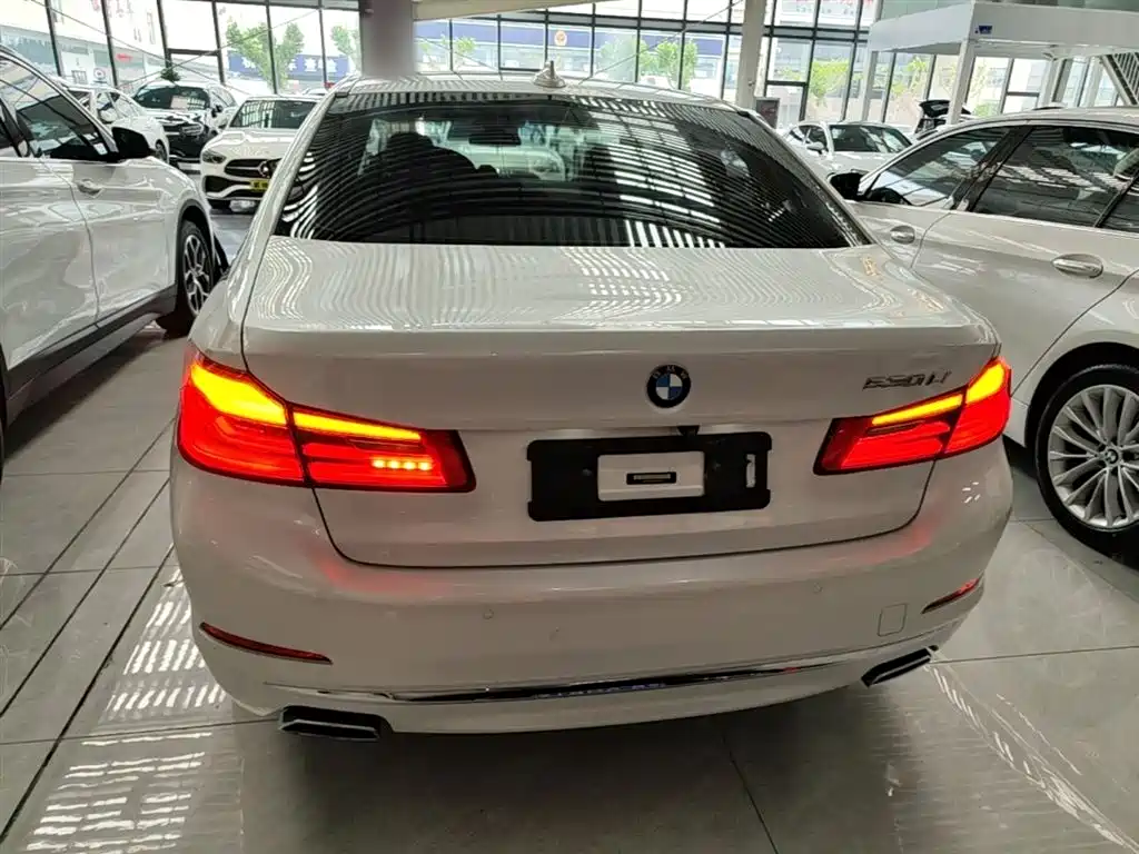 BMW 5 Series 2019 Facelift 530Li Leading Luxury Package фото 6