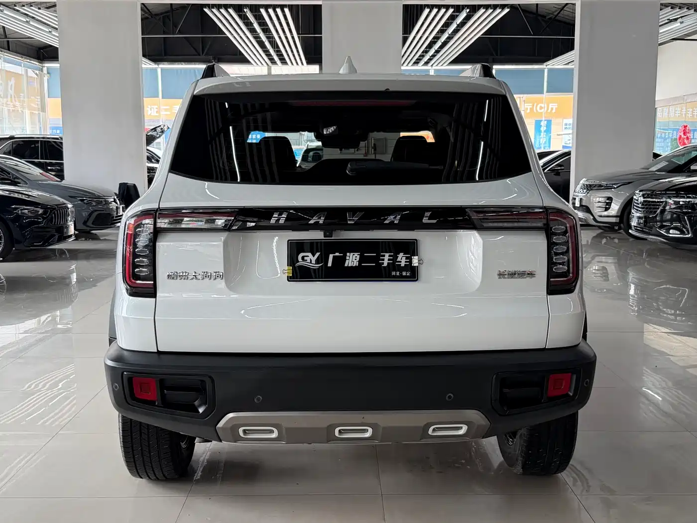 Haval Big Dog 2021 1.5T DCT 2WD Labrador Edition фото 5
