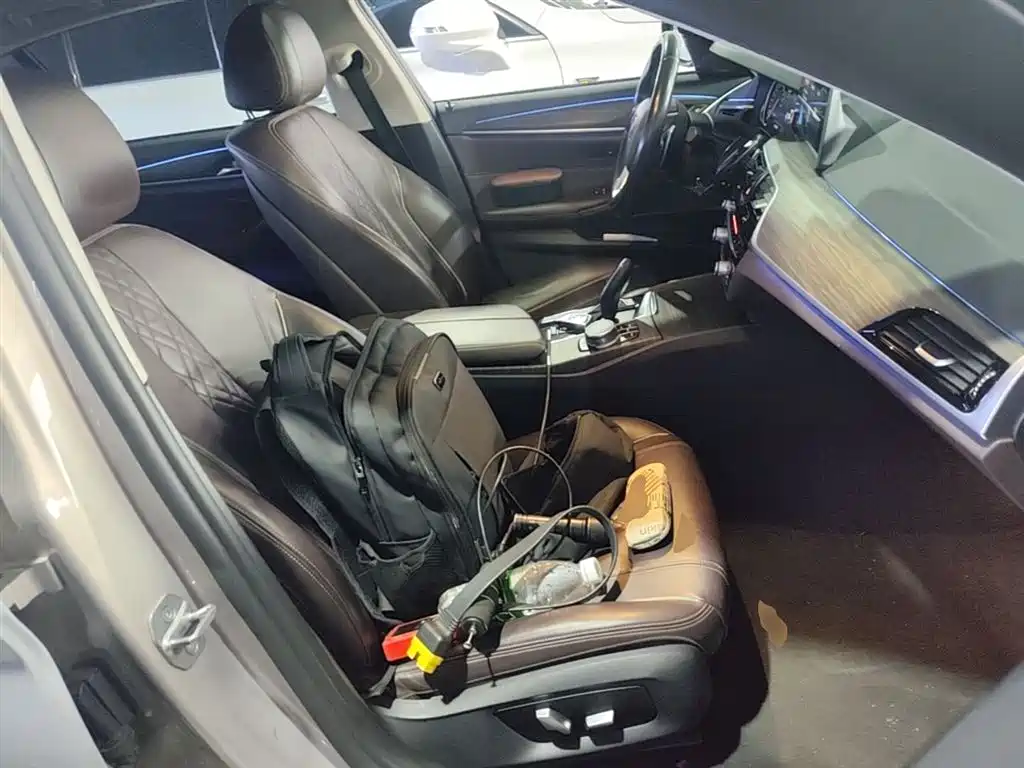 BMW 5 Series 2018 530Li Leading Luxury Package фото 25