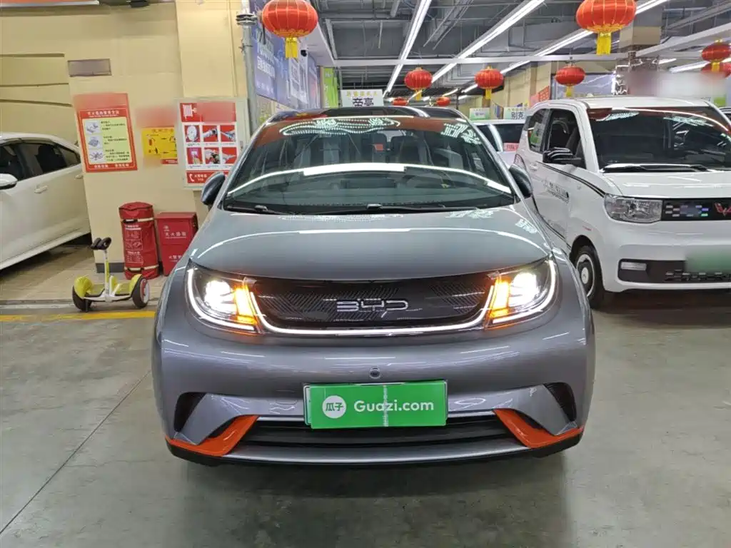 BYD Dolphin 2021 Model 405km Fashion Edition фото 3