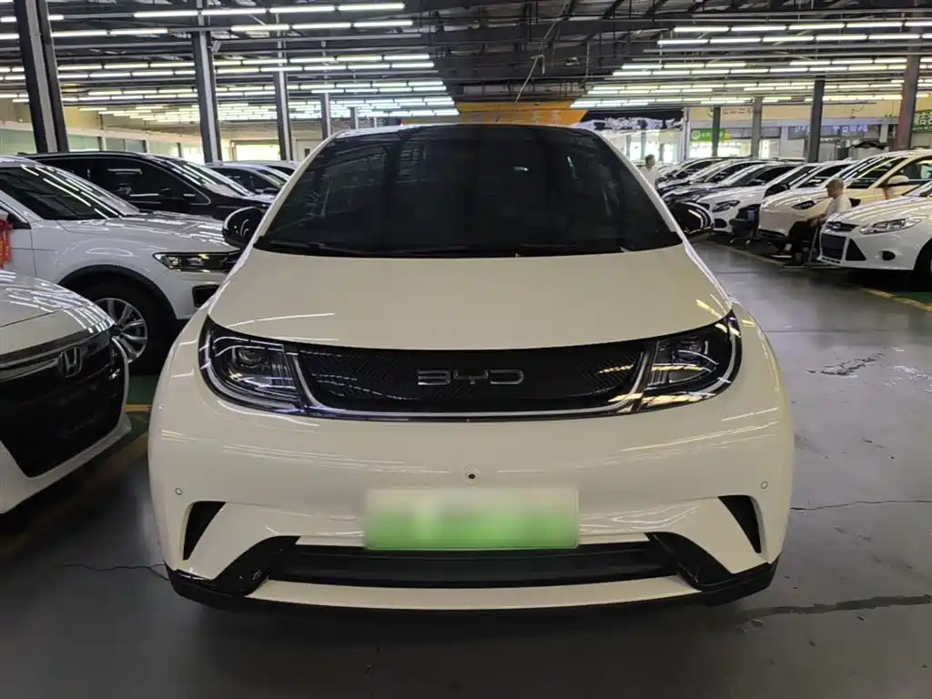 BYD Dolphin 2023 420km Fashion Edition фото 3