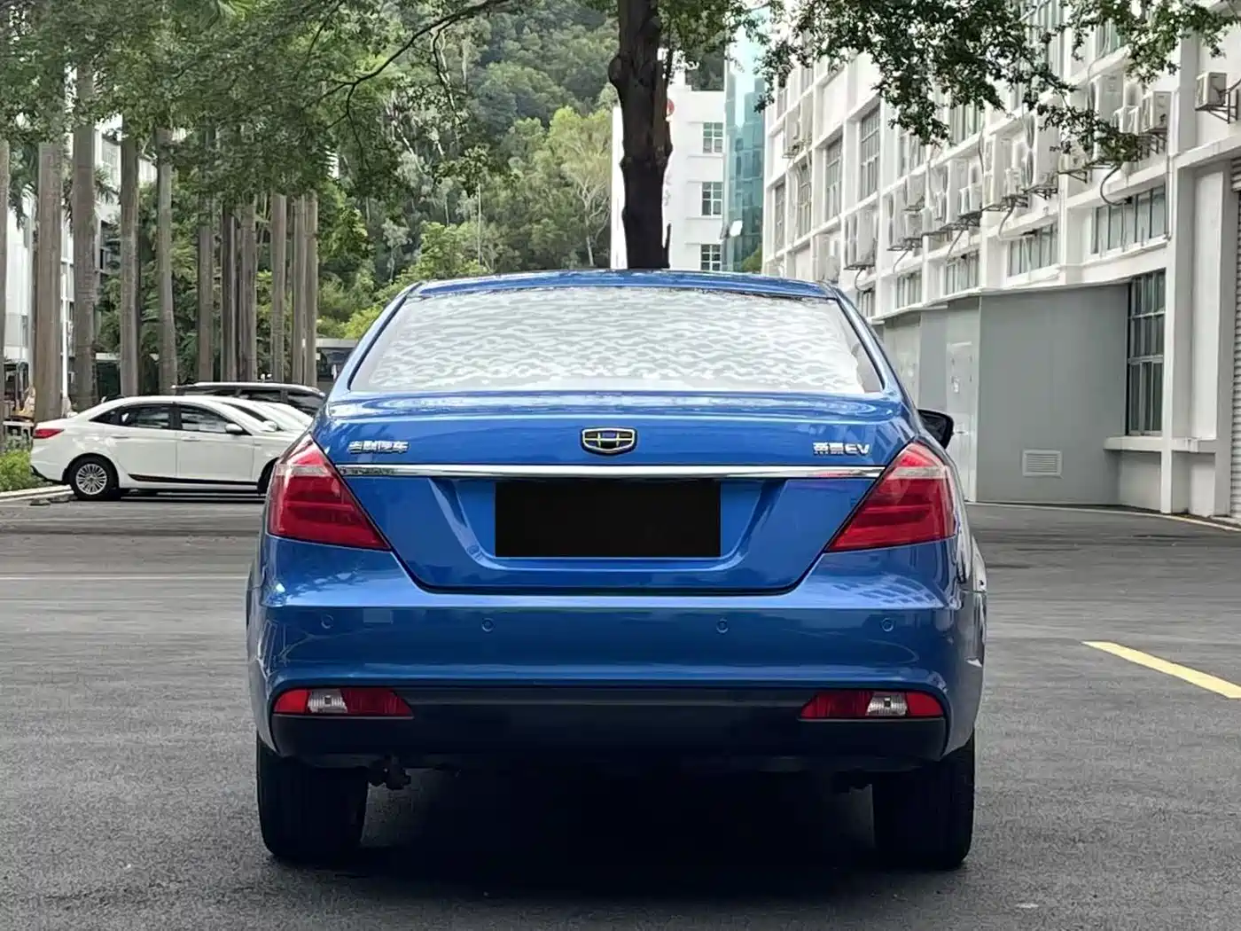 Geely Emgrand New Energy 2017 2017 EV300 Elite