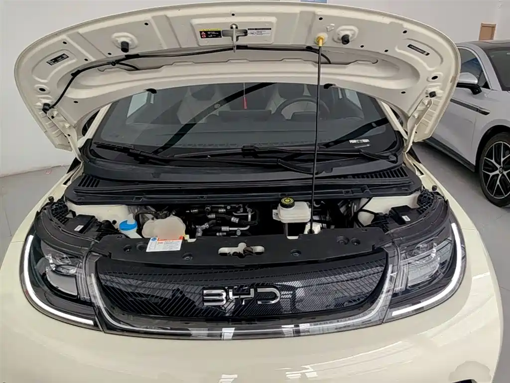 BYD Dolphin 2024 Glory Edition 420km Fashion Edition фото 20