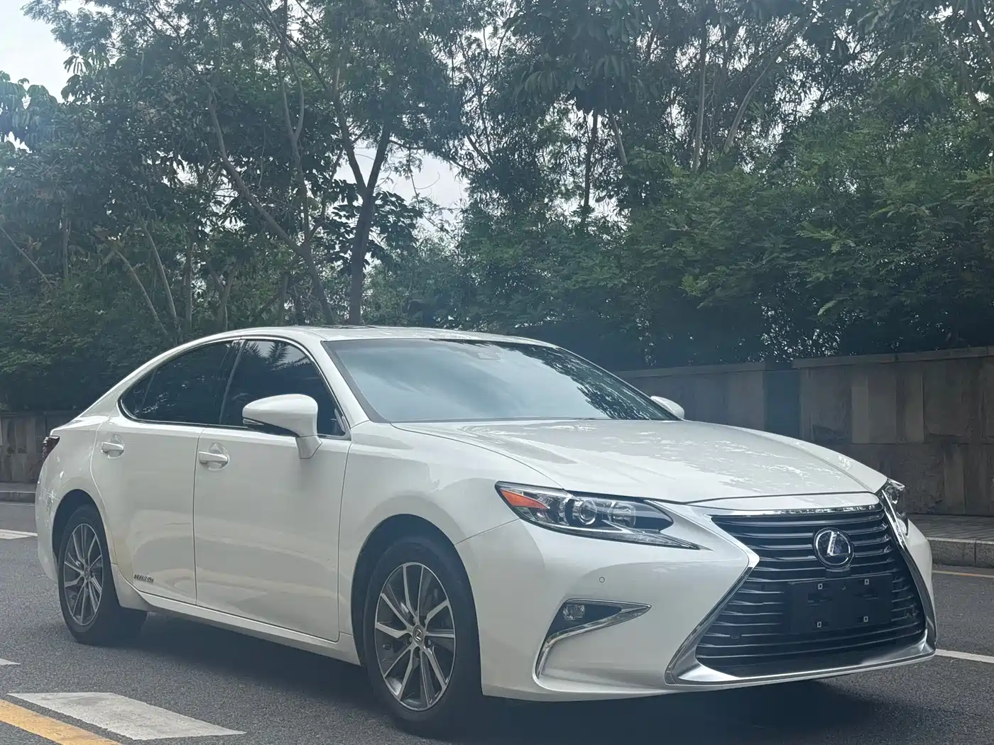 Lexus ES 2015 300h Comfort Edition фото 3