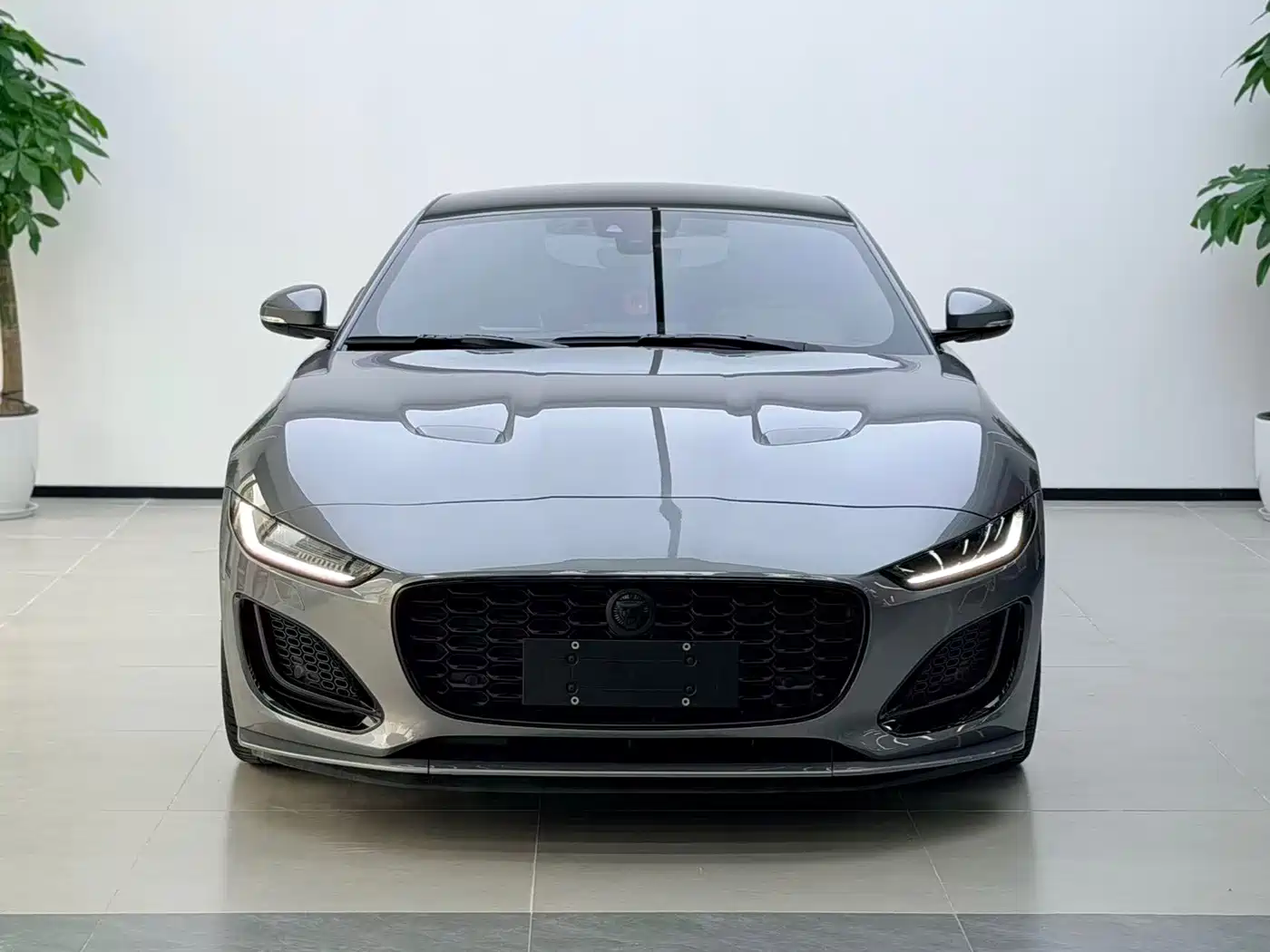 Jaguar F-TYPE 2024 2024 P300 75th Anniversary Collector's Hardtop Edition