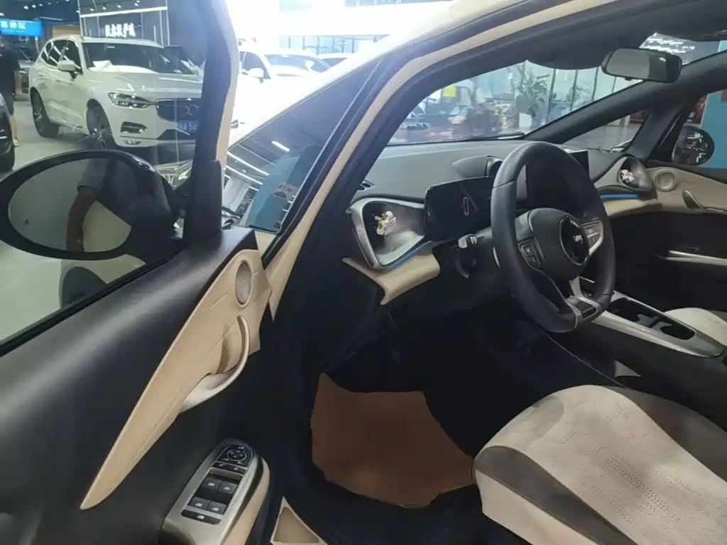 BYD Dolphin 2026 2025 Smart Drive Edition 410km Fashion Version