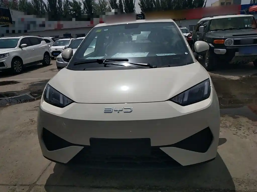 BYD Seagull 2025 Smart Drive Edition 305km Vitality Version фото 3