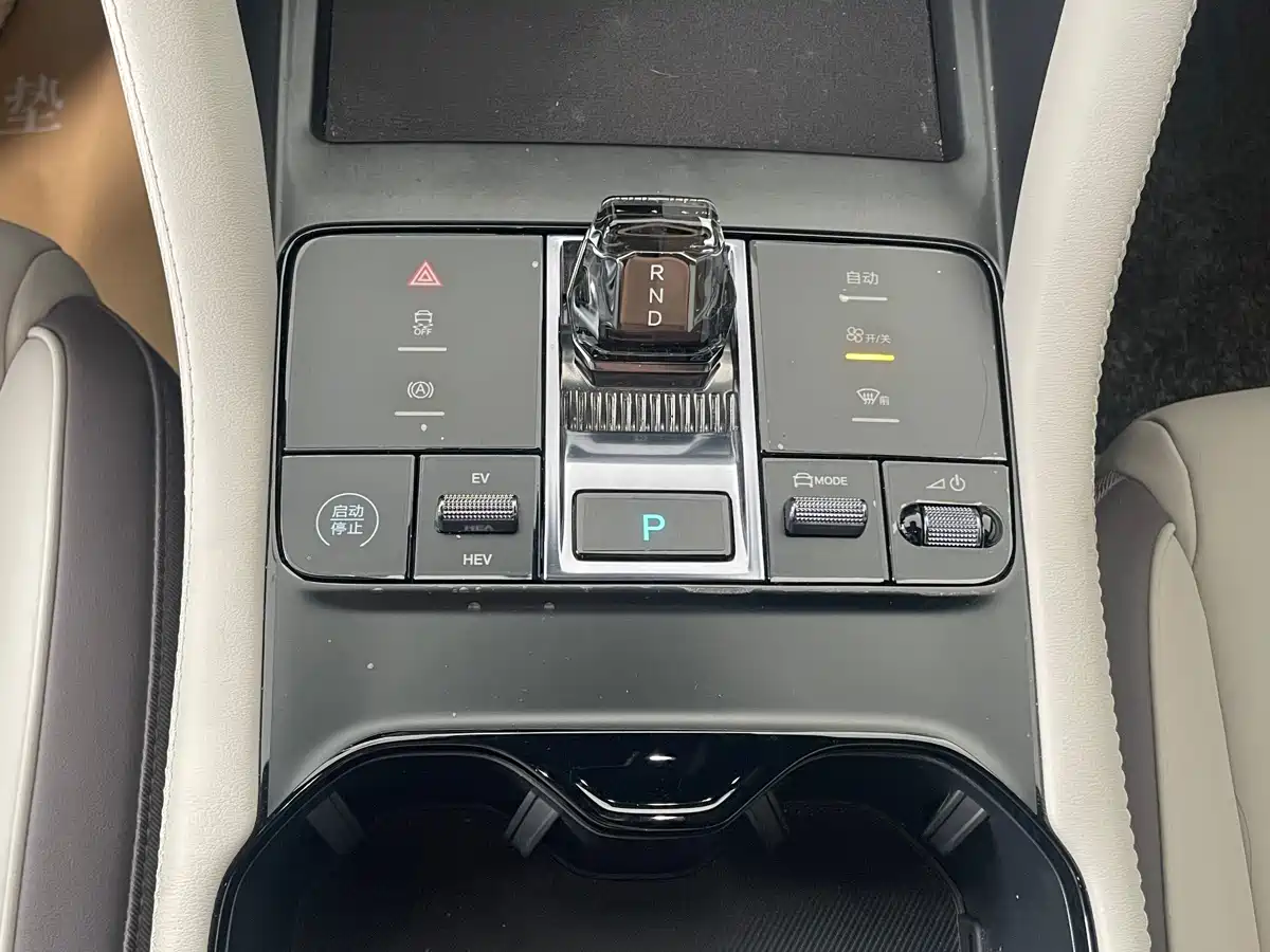 BYD Song PLUS PHEV 2025 DM-i 112KM Premium фото 8