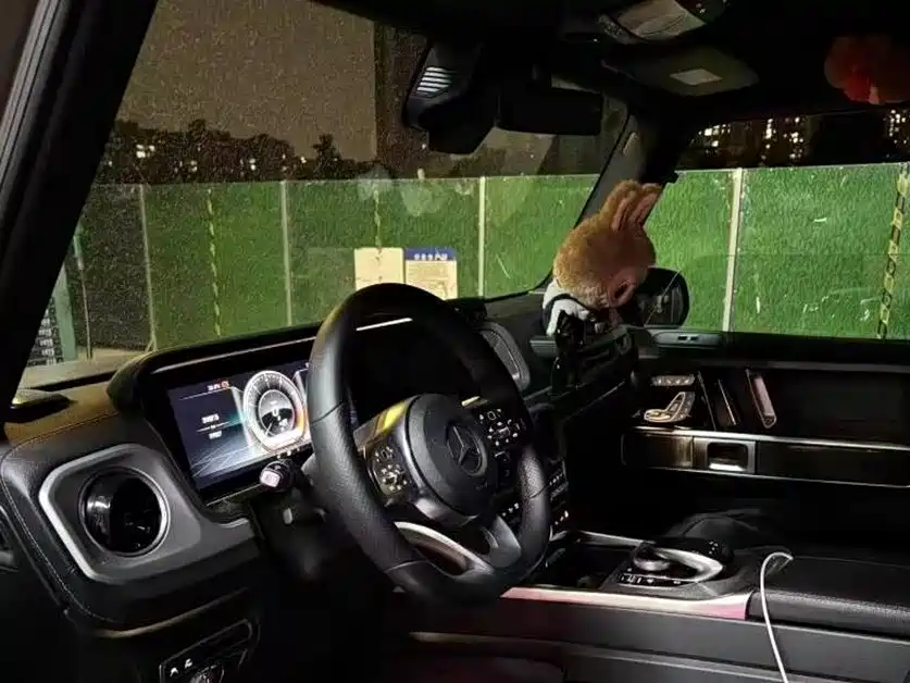 Mercedes-Benz G-Class 2019 G 500 фото 4