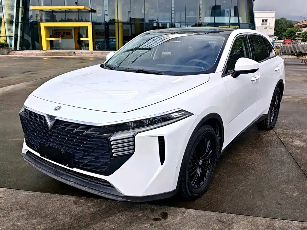 Venucia Big V 2022 2021 260T Idol Edition