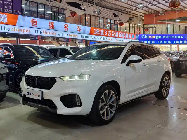 wei-pai wei-brand-vv7