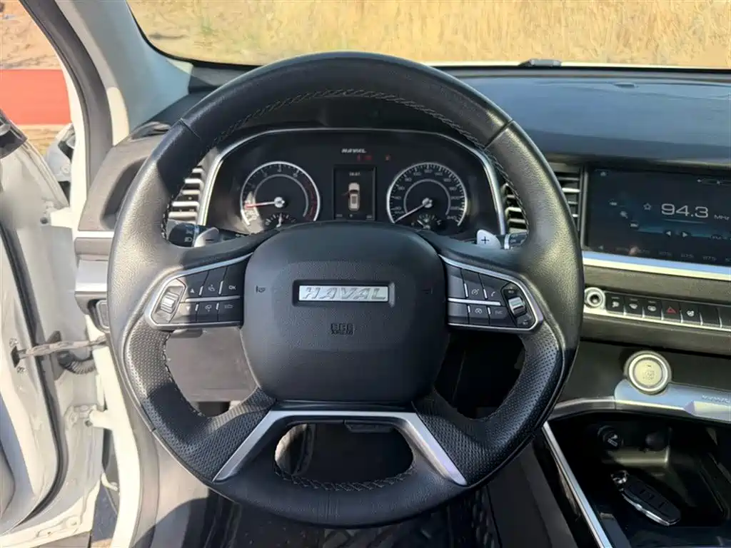 Haval H6 2017 Blue Label 2.0T Automatic 2WD Smart Edition фото 9