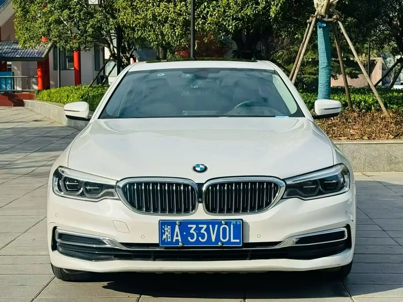 BMW 5 Series 2020 530Li Premium Luxury Package фото 2