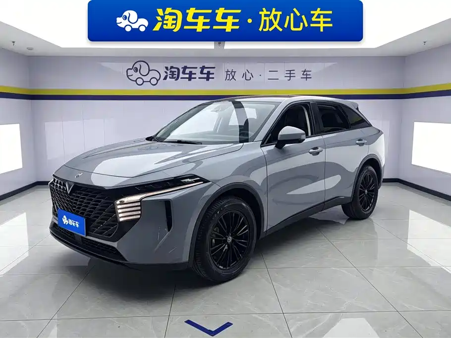 2023 Venucia Big V