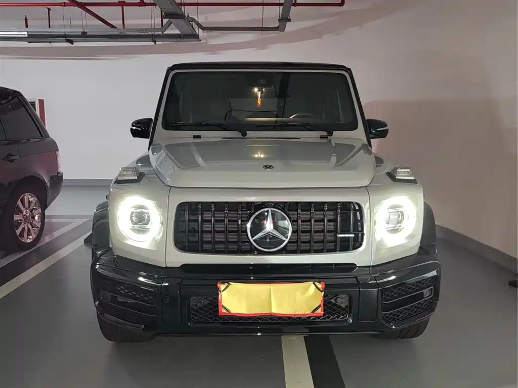 Mercedes-Benz G-Class 2020 G 350 фото 2