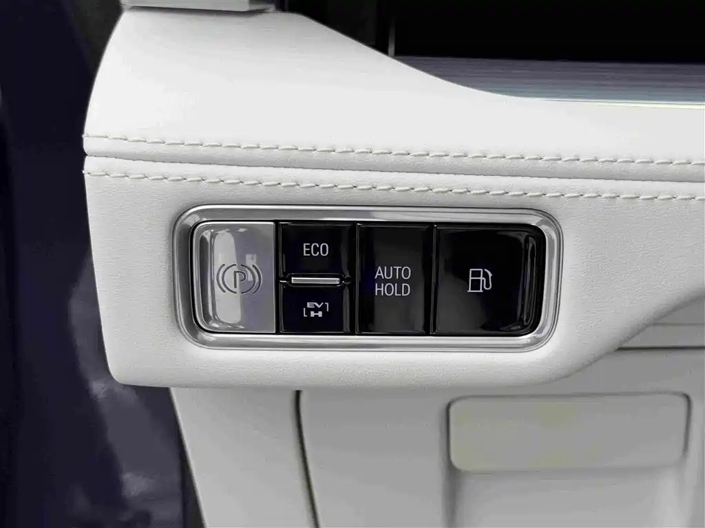 Buick GL8 New Energy 2025 2026 Luzun Premium Luxury Avenir Edition
