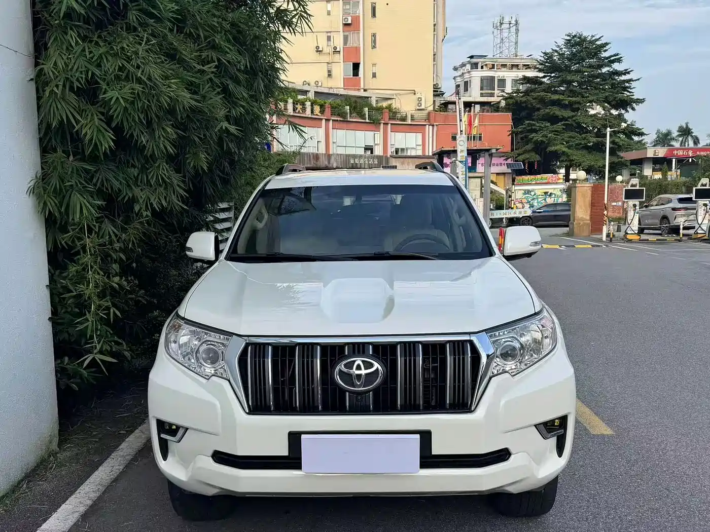 2019 Toyota Prado (Import)