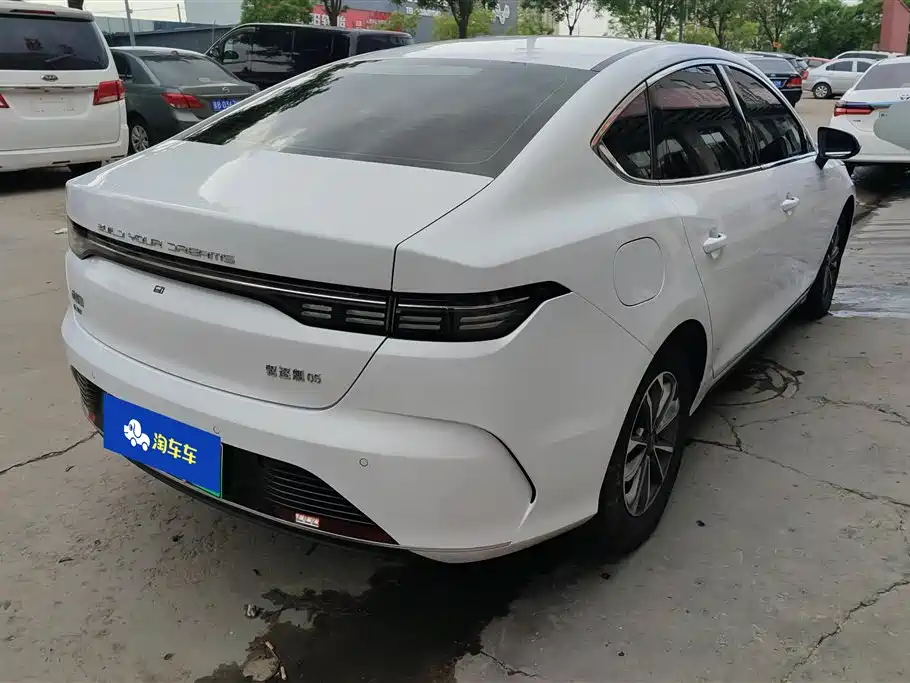 BYD Destroyer 05 2024 Glory Edition DM-i 55KM Luxury фото 3