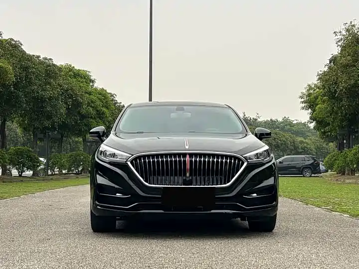 Hongqi H5 2022 Classic 1.5T DCT Flag Rhythm Edition фото 2