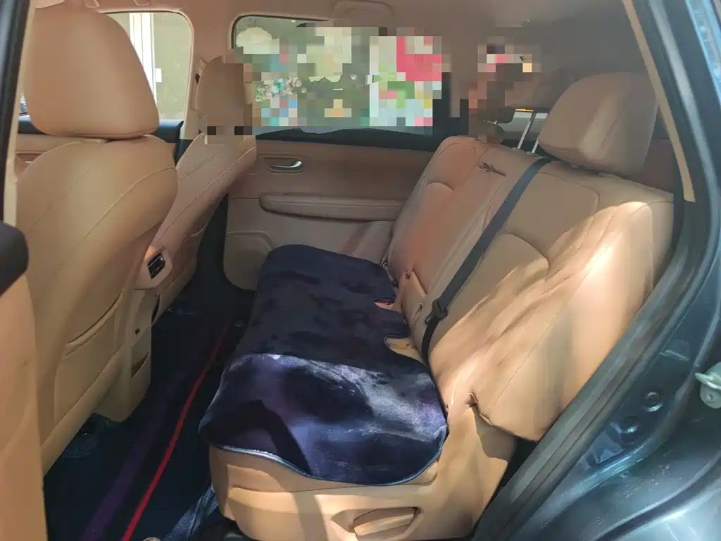 Landian E5 PLUS 2024 2025 165km Long Range Travel Custom Edition 7-seater