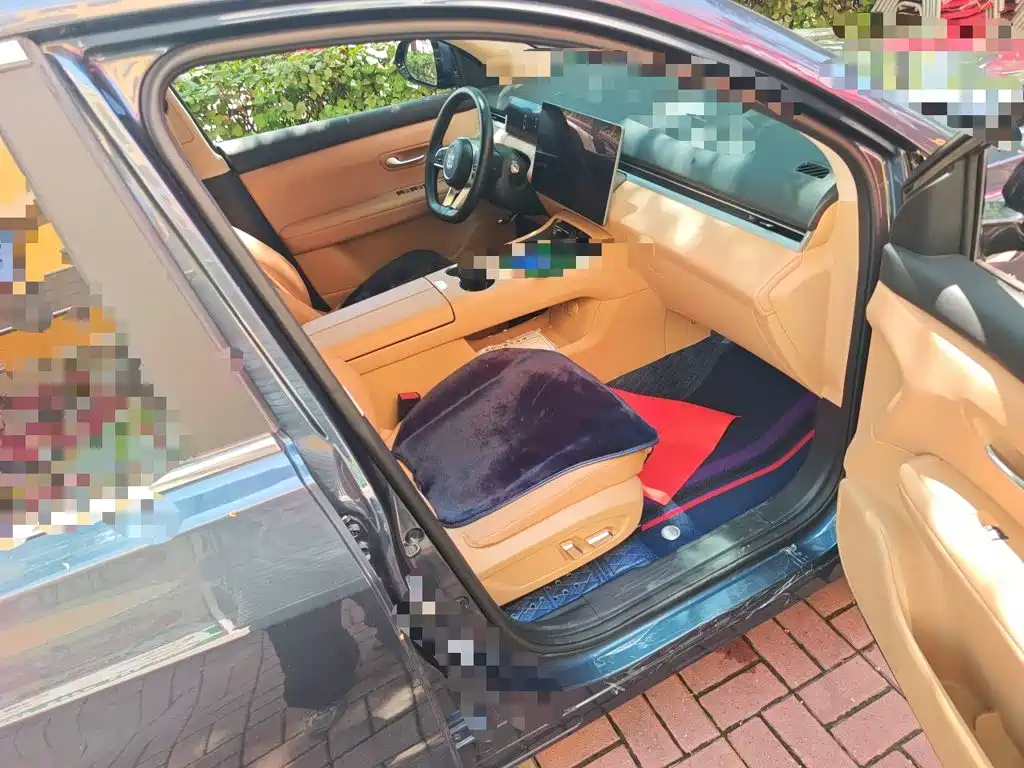 Landian E5 PLUS 2024 2025 165km Long Range Travel Custom Edition 7-seater