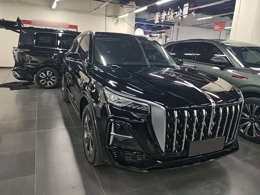 Hongqi HS5 2023 2.0T Flag Enjoy Pro Edition фото 4