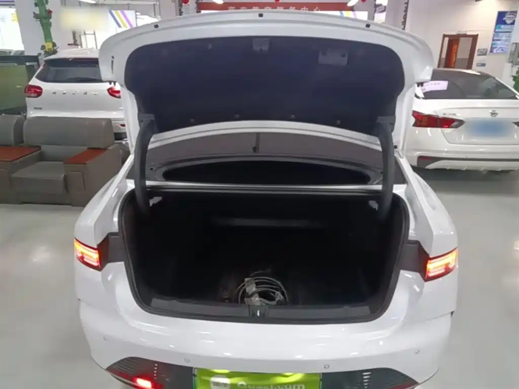 BYD Destroyer 05 2024 Glory Edition DM-i 55KM Luxury фото 9