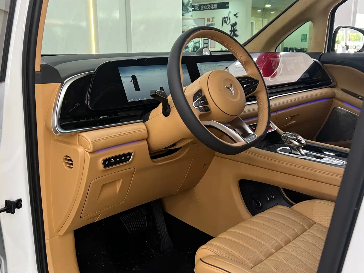 Voyah Auto Voyah Dreamer 2024 PHEV Extended Range Flagship Edition фото 8