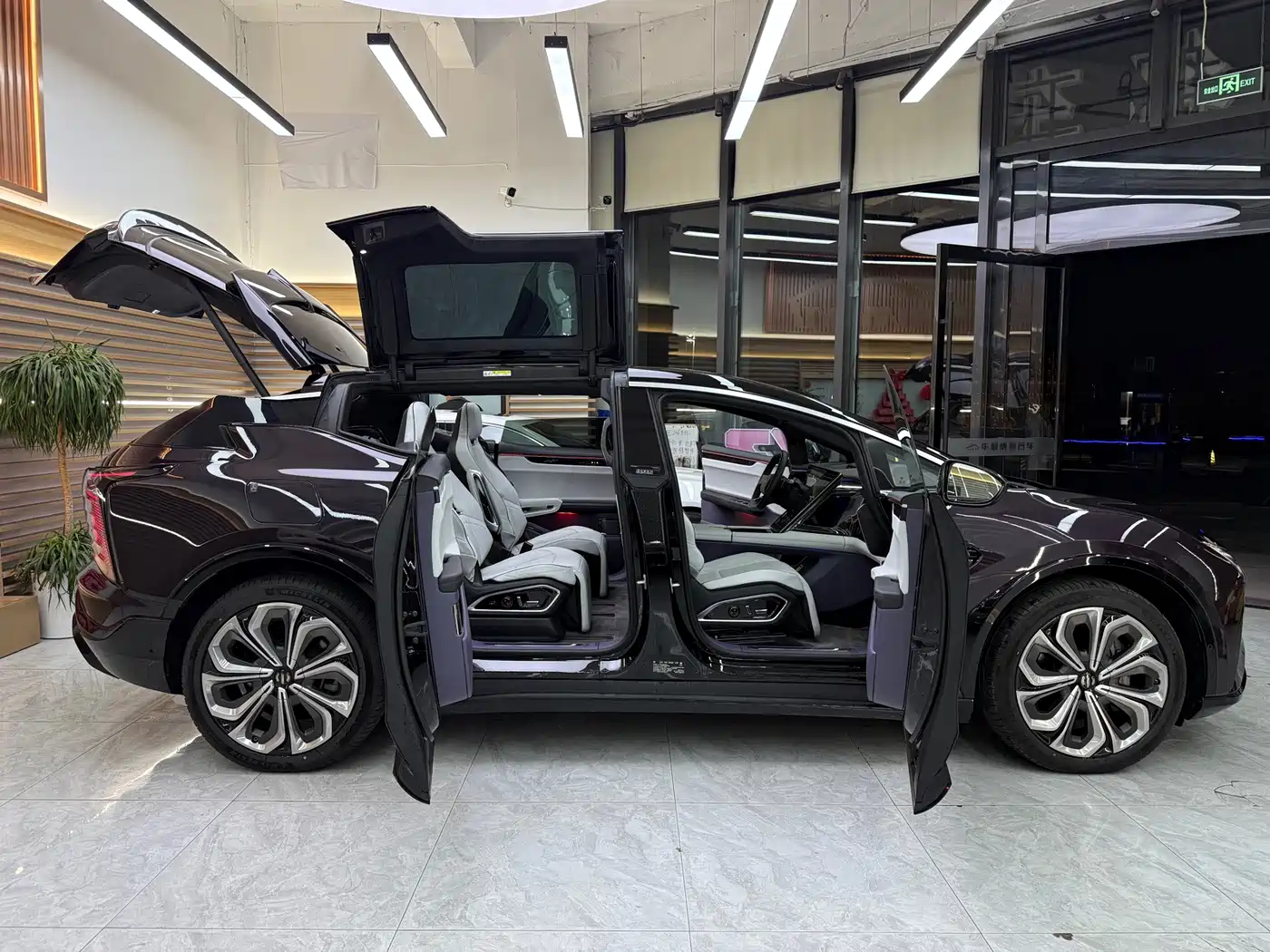 HiPhi X 2026 2021 Flagship Edition 6-Seater