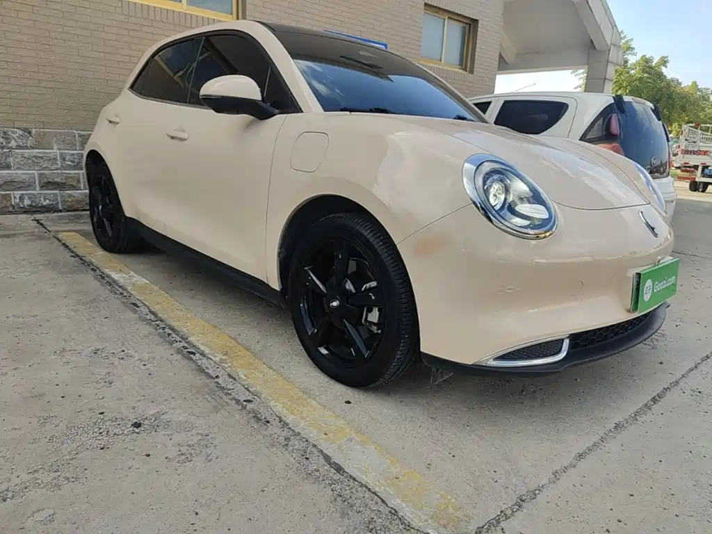 Ora Good Cat 2025 2024 401km Luxury