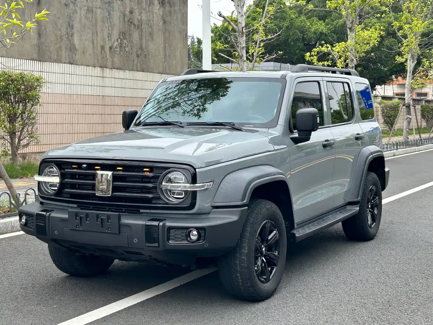 Tank 300 2021 Off-road Version 2.0T Conqueror