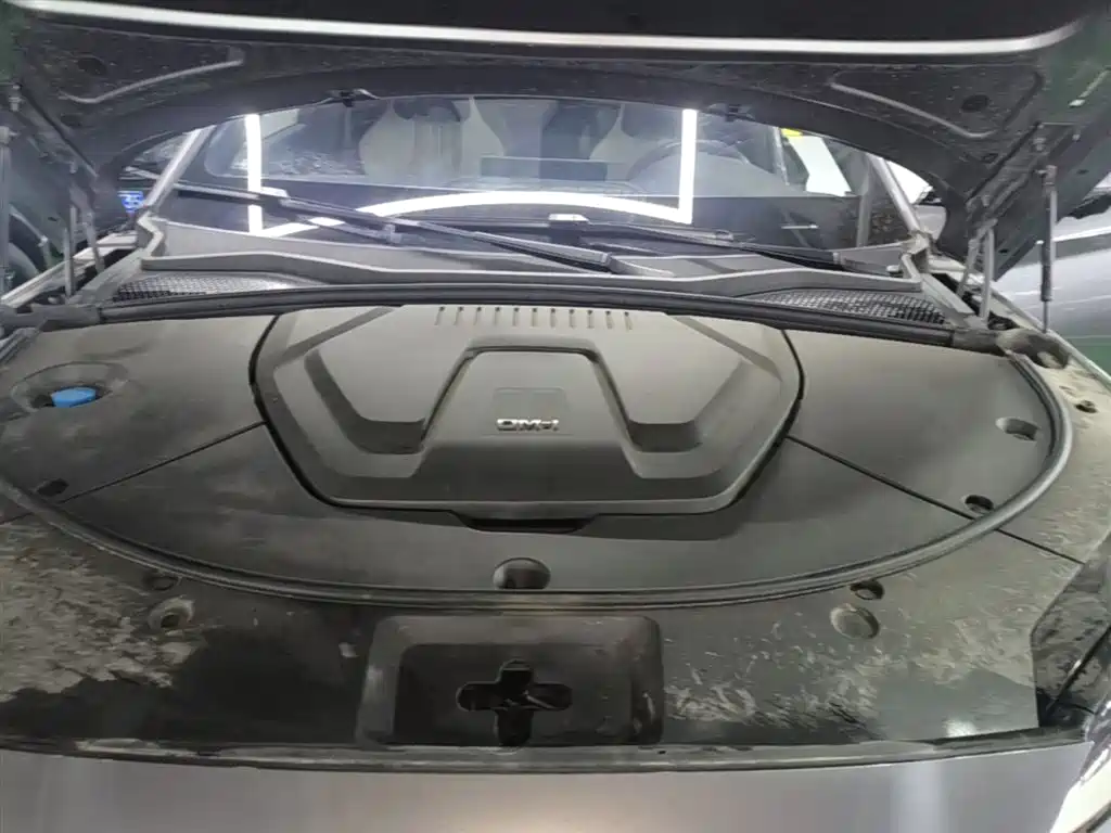 BYD Song PLUS PHEV 2024 Glory Edition DM-i 110km Flagship фото 20