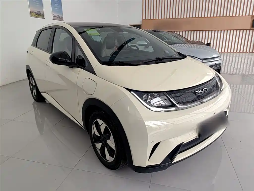 BYD Dolphin 2024 Glory Edition 420km Fashion Edition фото 4
