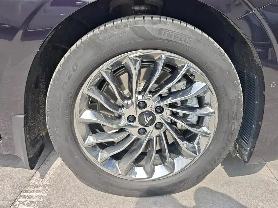 Voyah Auto Voyah Dreamer 2024 PHEV Extended Range Flagship Edition фото 6