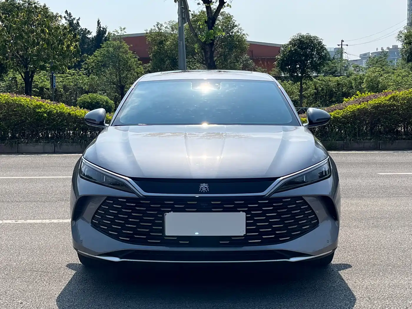 BYD Qin L 2024 DM-i 120KM Excellence Model фото 2