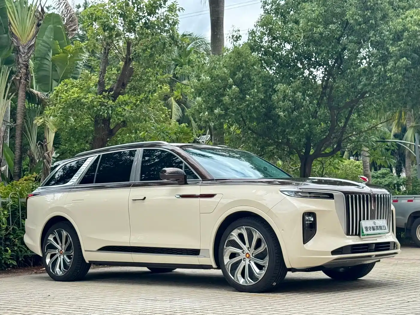 Hongqi E-HS9 2022 2022 660km Qi Ling Edition (4-seater)