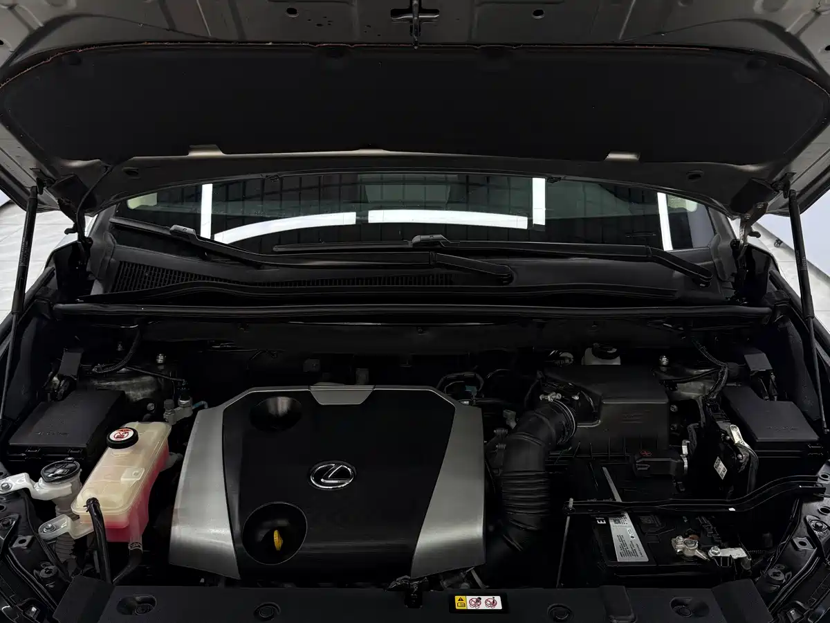 Lexus NX 2020 200 AWD F Sport China V фото 21