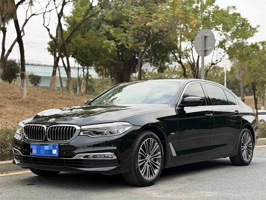 BMW 5 Series 2018 530Li Exclusive Luxury Package